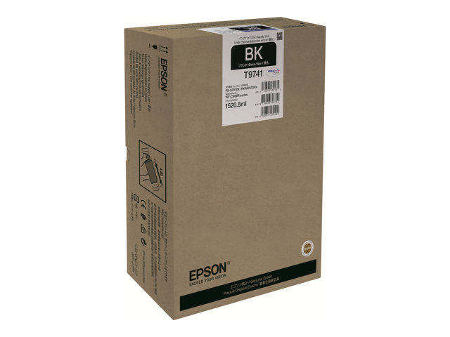 Epson T9741